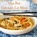 One Pot Chicken Lo Mein labeled