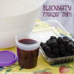 Blackberry Freezer Jam | realmomkitchen.com